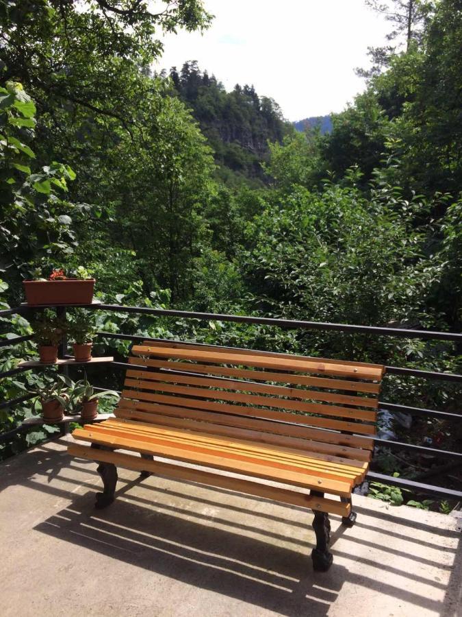 Borjomi Veranda מראה חיצוני תמונה