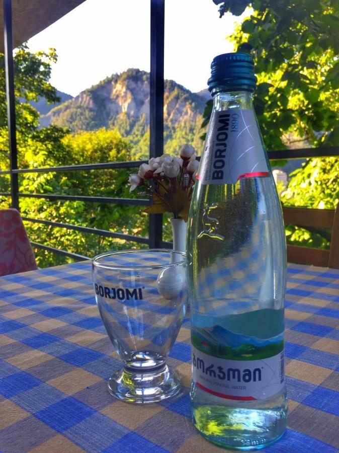 Borjomi Veranda מראה חיצוני תמונה
