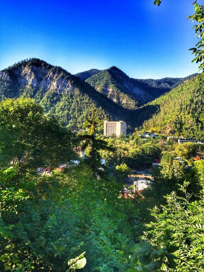 Borjomi Veranda מראה חיצוני תמונה